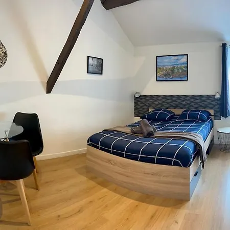 Oslo-charme & Calme En Centre A Pied Avec Parking Gratuit Apartment