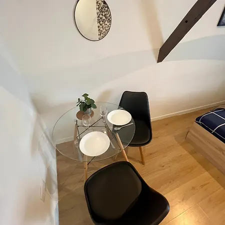 Oslo-charme & Calme En Centre A Pied Avec Parking Gratuit Apartment Châtellerault